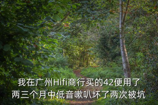 2004 廣州 hifi，廣州哪有hifi播放器試聽