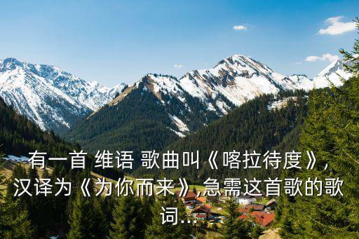 有一首 維語 歌曲叫《喀拉待度》,漢譯為《為你而來》,急需這首歌的歌詞...