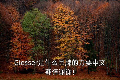 屠宰刀具,管制刀具不允許托運但餐具類刀具可以