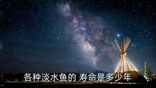 魚的壽命,一元一條小金魚的壽命