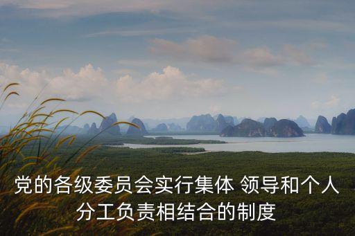 黨的各級委員會實行集體 領導和個人分工負責相結合的制度