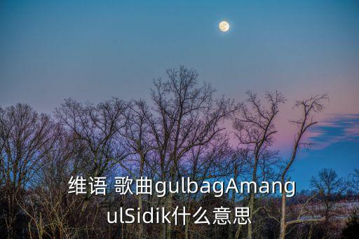  維語 歌曲gulbagAmangulSidik什么意思