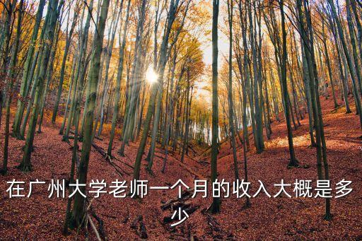 廣州大學教授工資，廣州的大學教師工資是多少