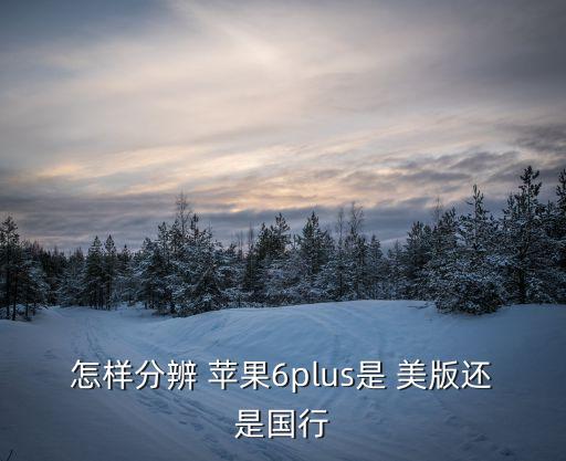 蘋果手機怎么看國行還是美版,蘋果手機怎么區分國行與國行?看模型!