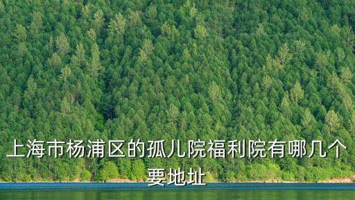 上海市楊浦區的孤兒院福利院有哪幾個要地址