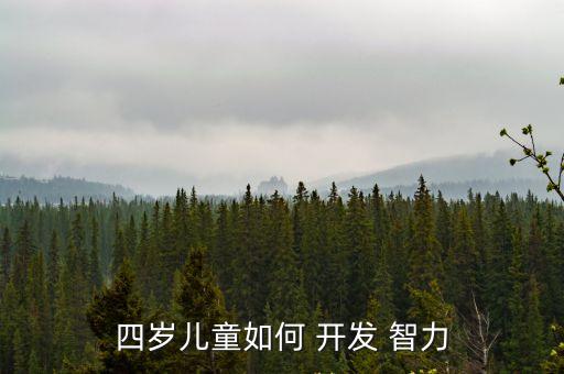 四歲兒童如何 開發 智力