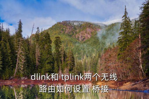 dlink和 tplink兩個無線路由如何設置 橋接