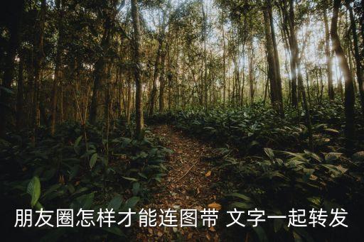 帶文字圖片,劉氏頭像帶文字圖片