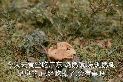 今天去食堂吃廣東 燒鵝飯,發現鵝腿是臭的,已經吃掉了,會有事嗎