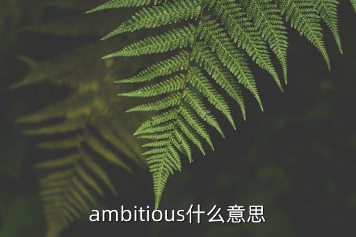 ambitious什么意思