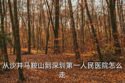沙井開車到深圳人民醫院怎么走，沙井到深圳市人民醫院怎么坐車