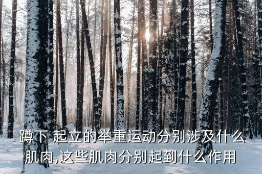 蹲下起立,每天深蹲50個(gè)一個(gè)月后