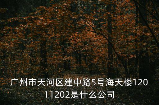 廣州市天河區(qū)建中路5號(hào)海天樓12011202是什么公司