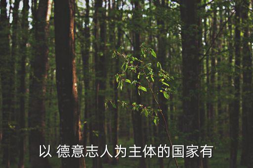 德意志人,德國人是法蘭克人之一