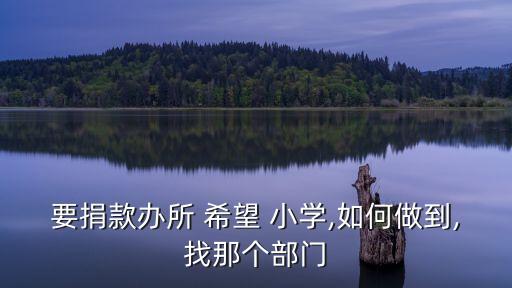 希望小學(xué),參觀希望小學(xué)寫作文:要捐款辦希望學(xué)校