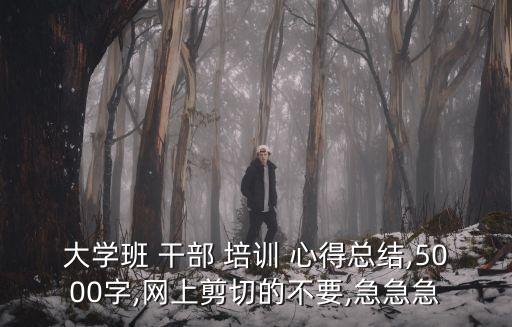 大學班 干部 培訓 心得總結,5000字,網上剪切的不要,急急急