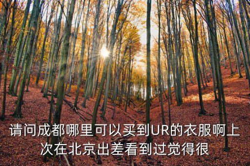 UR深圳成都開店，成都哪里有賣ur