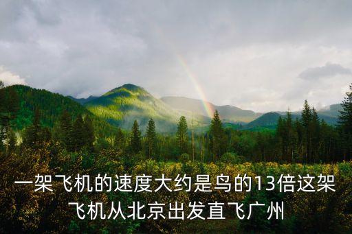 一架飛機的速度大約是鳥的13倍這架飛機從北京出發直飛廣州