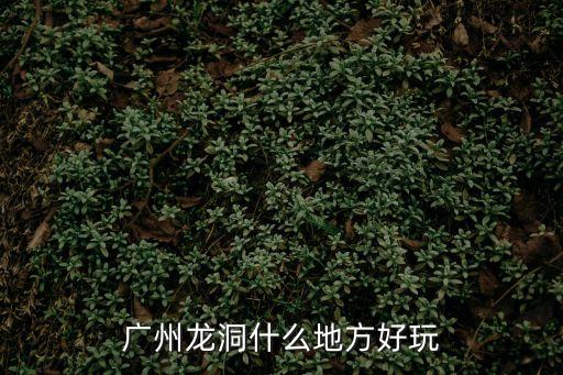 廣州龍洞什么地方好玩