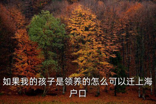 上海市收養落戶政策，如果我的孩子是領養的怎么可以遷上海戶口