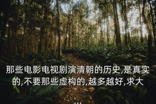 那些電影電視劇演清朝的歷史,是真實(shí)的,不要那些虛構(gòu)的,越多越好,求大...