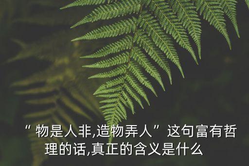 “ 物是人非,造物弄人”這句富有哲理的話,真正的含義是什么