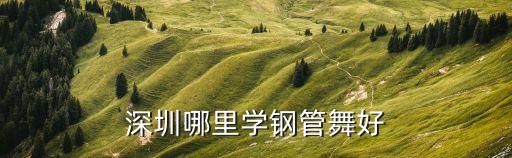 深圳哪里有學鋼管舞，深圳哪里學鋼管舞好