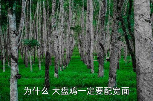 大盤雞拌面,如何做好這碗排骨湯!