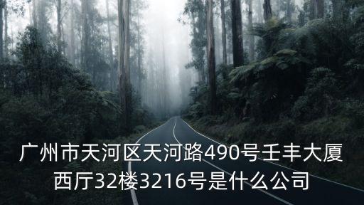 廣州市天河區天河路490號壬豐大廈西廳32樓3216號是什么公司