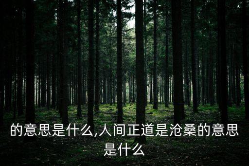 的意思是什么,人間正道是滄桑的意思是什么