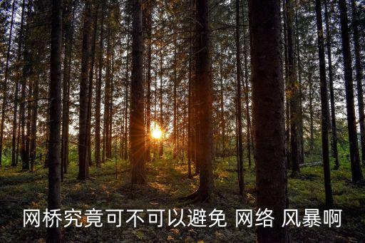 網(wǎng)橋究竟可不可以避免 網(wǎng)絡(luò) 風(fēng)暴啊