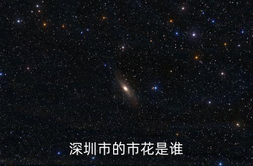 深圳市的市花是誰