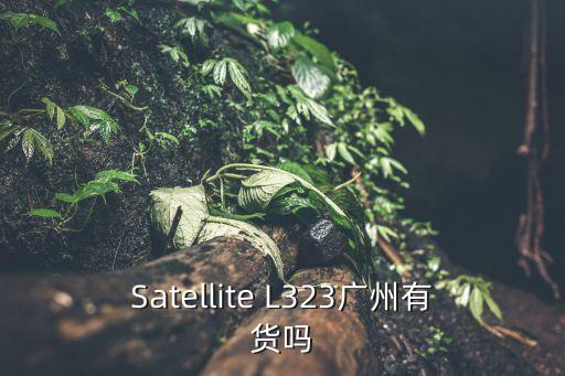 Satellite L323廣州有貨嗎