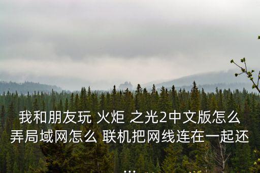 我和朋友玩 火炬 之光2中文版怎么弄局域網(wǎng)怎么 聯(lián)機把網(wǎng)線連在一起還...