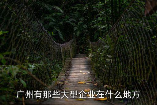 廣州有那些大型企業在什么地方