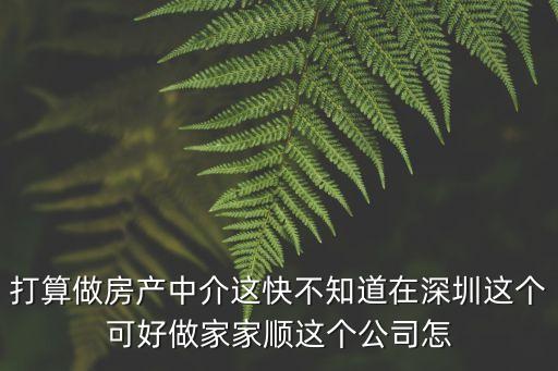打算做房產(chǎn)中介這快不知道在深圳這個可好做家家順這個公司怎