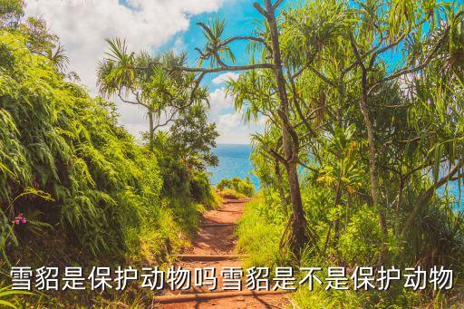 雪貂,中國養(yǎng)雪貂犯法嗎?