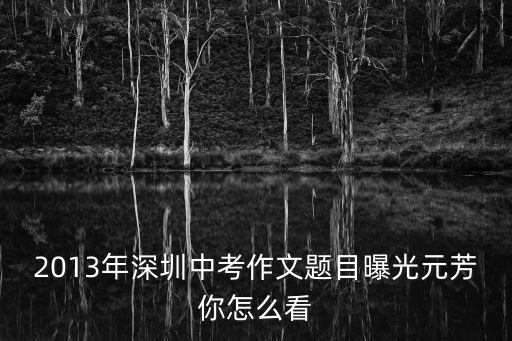 2013深圳中考題目，2013深圳中考語文閱讀題一般會考什么文體