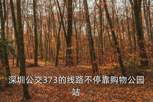 深圳公交373的線路不?？抠徫锕珗@站