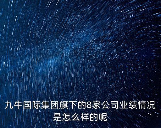 九牛國(guó)際集團(tuán)旗下的8家公司業(yè)績(jī)情況是怎么樣的呢