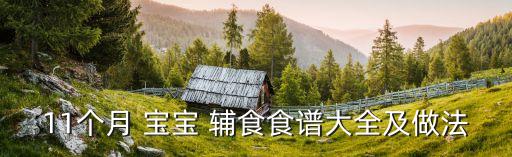 11個月 寶寶 輔食食譜大全及做法