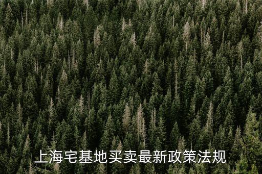 上海宅基地買賣最新政策法規