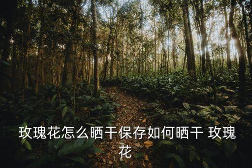  玫瑰花怎么曬干保存如何曬干 玫瑰花
