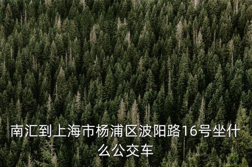 南匯到上海市楊浦區(qū)波陽路16號(hào)坐什么公交車