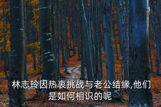 林志玲結婚夢碎