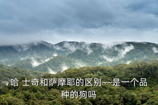 哈 士奇和薩摩耶的區別~~是一個品種的狗嗎