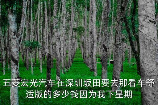 深圳那里可以看車，五菱宏光汽車在深圳坂田要去那看車舒適版的多少錢因為我下星期