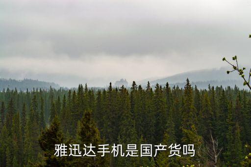 雅迅達(dá)手機(jī)是國產(chǎn)貨嗎