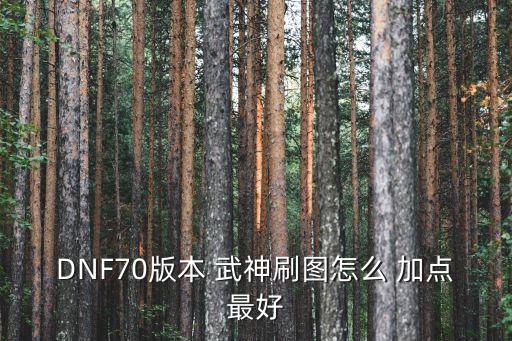 DNF70版本 武神刷圖怎么 加點最好