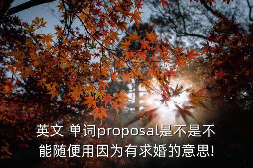 英文 單詞proposal是不是不能隨便用因為有求婚的意思!